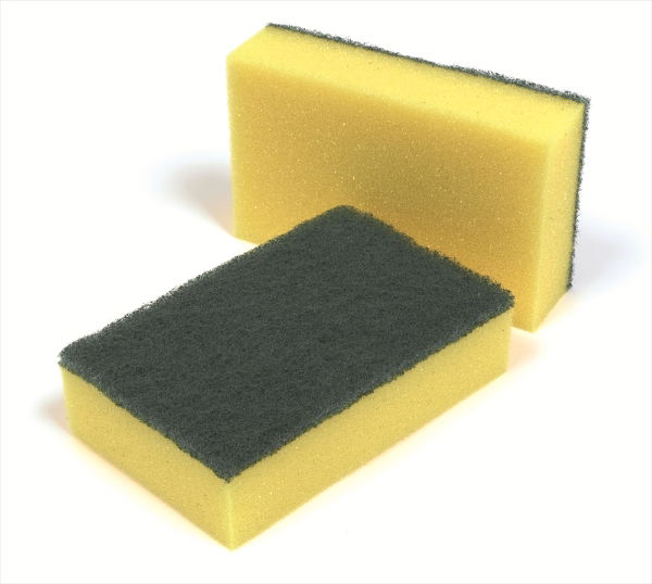 SPONGE SCOURERS